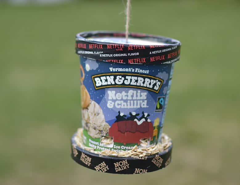 Pint of Ben & Jerry's Netflix & Chilll'd used as a bird feeder
