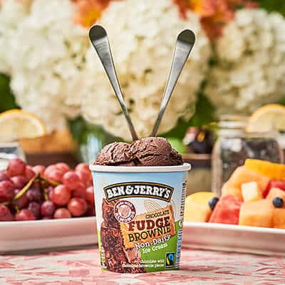 Pint of Non-Dairy Fudge Brownie