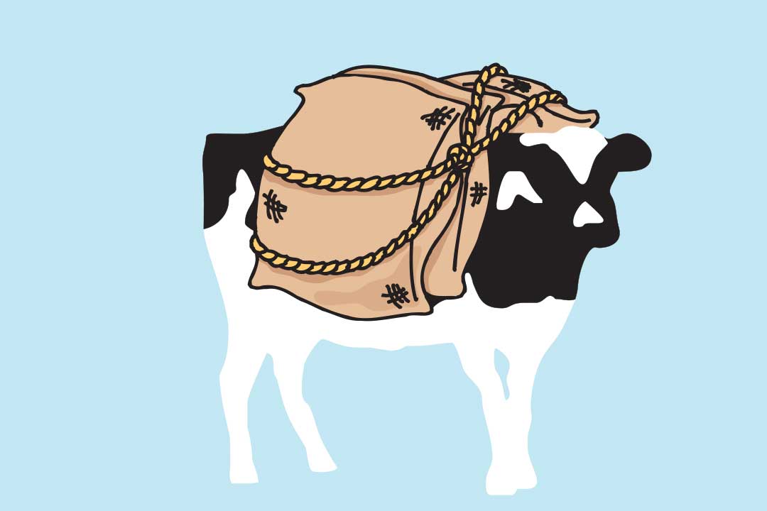 Woodie med säckar på ryggen